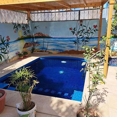 Villa Louise Guest House Luxor Exterior foto