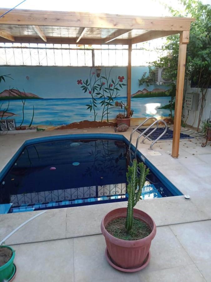 Villa Louise Guest House Luxor Exterior foto